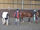 Image 12 in EAST ANGLIAN HORSE AGILITY AT WORLD HORSE WELFARE 17 JAN. 2015.
