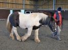 Image 13 in EAST ANGLIAN HORSE AGILITY AT WORLD HORSE WELFARE  17 JAN. 2015.