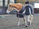 Image 15 in EAST ANGLIAN HORSE AGILITY AT WORLD HORSE WELFARE 17 JAN. 2015.