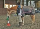 Image 16 in EAST ANGLIAN HORSE AGILITY AT WORLD HORSE WELFARE 17 JAN. 2015.