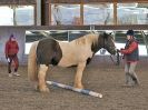 Image 17 in EAST ANGLIAN HORSE AGILITY AT WORLD HORSE WELFARE 17 JAN. 2015.