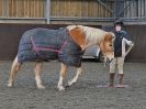 Image 18 in EAST ANGLIAN HORSE AGILITY AT WORLD HORSE WELFARE 17 JAN. 2015.