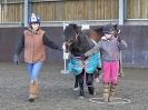 Image 19 in EAST ANGLIAN HORSE AGILITY AT WORLD HORSE WELFARE 17 JAN. 2015.