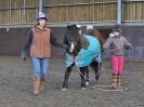 Image 20 in EAST ANGLIAN HORSE AGILITY AT WORLD HORSE WELFARE 17 JAN. 2015.
