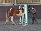 Image 21 in EAST ANGLIAN HORSE AGILITY AT WORLD HORSE WELFARE  17 JAN. 2015.