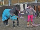 Image 22 in EAST ANGLIAN HORSE AGILITY AT WORLD HORSE WELFARE 17 JAN. 2015.