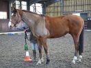 Image 23 in EAST ANGLIAN HORSE AGILITY AT WORLD HORSE WELFARE 17 JAN. 2015.