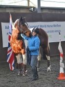 Image 24 in EAST ANGLIAN HORSE AGILITY AT WORLD HORSE WELFARE 17 JAN. 2015.