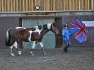 Image 26 in EAST ANGLIAN HORSE AGILITY AT WORLD HORSE WELFARE 17 JAN. 2015.