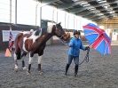 Image 27 in EAST ANGLIAN HORSE AGILITY AT WORLD HORSE WELFARE  17 JAN. 2015.