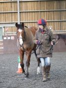 Image 28 in EAST ANGLIAN HORSE AGILITY AT WORLD HORSE WELFARE 17 JAN. 2015.