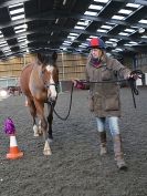 Image 29 in EAST ANGLIAN HORSE AGILITY AT WORLD HORSE WELFARE  17 JAN. 2015.