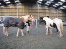 Image 3 in EAST ANGLIAN HORSE AGILITY AT WORLD HORSE WELFARE 17 JAN. 2015.