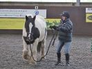 Image 30 in EAST ANGLIAN HORSE AGILITY AT WORLD HORSE WELFARE  17 JAN. 2015.