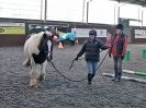Image 32 in EAST ANGLIAN HORSE AGILITY AT WORLD HORSE WELFARE 17 JAN. 2015.