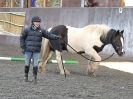 Image 33 in EAST ANGLIAN HORSE AGILITY AT WORLD HORSE WELFARE 17 JAN. 2015.
