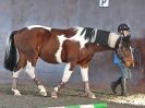 Image 34 in EAST ANGLIAN HORSE AGILITY AT WORLD HORSE WELFARE 17 JAN. 2015.