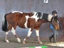 Image 34 in EAST ANGLIAN HORSE AGILITY AT WORLD HORSE WELFARE  17 JAN. 2015.