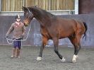 Image 36 in EAST ANGLIAN HORSE AGILITY AT WORLD HORSE WELFARE 17 JAN. 2015.