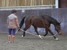 Image 37 in EAST ANGLIAN HORSE AGILITY AT WORLD HORSE WELFARE 17 JAN. 2015.