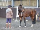 Image 38 in EAST ANGLIAN HORSE AGILITY AT WORLD HORSE WELFARE 17 JAN. 2015.
