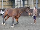 Image 39 in EAST ANGLIAN HORSE AGILITY AT WORLD HORSE WELFARE  17 JAN. 2015.