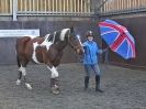 Image 41 in EAST ANGLIAN HORSE AGILITY AT WORLD HORSE WELFARE 17 JAN. 2015.