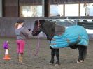 Image 43 in EAST ANGLIAN HORSE AGILITY AT WORLD HORSE WELFARE 17 JAN. 2015.