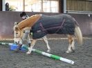Image 45 in EAST ANGLIAN HORSE AGILITY AT WORLD HORSE WELFARE 17 JAN. 2015.