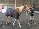 Image 49 in EAST ANGLIAN HORSE AGILITY AT WORLD HORSE WELFARE 17 JAN. 2015.