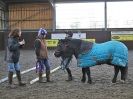 Image 50 in EAST ANGLIAN HORSE AGILITY AT WORLD HORSE WELFARE 17 JAN. 2015.