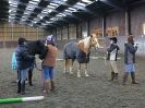 Image 51 in EAST ANGLIAN HORSE AGILITY AT WORLD HORSE WELFARE 17 JAN. 2015.