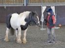 Image 7 in EAST ANGLIAN HORSE AGILITY AT WORLD HORSE WELFARE 17 JAN. 2015.
