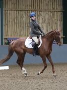 Image 36 in HUMBERSTONE  AFF. DRESSAGE  24 JAN 2016