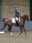 Image 36 in HUMBERSTONE AFF. DRESSAGE 24 JAN 2016