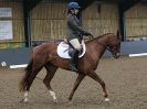 Image 61 in HUMBERSTONE AFF. DRESSAGE 24 JAN 2016