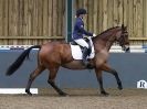 Image 97 in HUMBERSTONE  AFF. DRESSAGE  24 JAN 2016