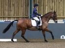 Image 97 in HUMBERSTONE AFF. DRESSAGE 24 JAN 2016