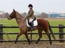 Image 103 in HUMBERSTONE FARM EC. UNAFFILIATED DRESSAGE. 31 JAN 2016