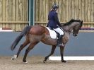 Image 17 in HUMBERSTONE FARM EC. UNAFFILIATED DRESSAGE. 31 JAN 2016