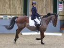 Image 18 in HUMBERSTONE FARM EC. UNAFFILIATED DRESSAGE. 31 JAN 2016