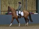 Image 36 in HUMBERSTONE FARM EC. UNAFFILIATED DRESSAGE. 31 JAN 2016