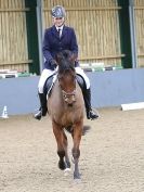 Image 7 in HUMBERSTONE FARM EC. UNAFFILIATED DRESSAGE. 31 JAN 2016