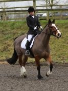 Image 100 in WORLD HORSE WELFARE. DRESSAGE. 6 FEB. 2016