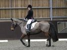 Image 39 in WORLD HORSE WELFARE. DRESSAGE. 6 FEB. 2016