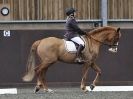 Image 71 in WORLD HORSE WELFARE. DRESSAGE. 6 FEB. 2016