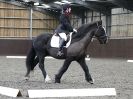 Image 78 in WORLD HORSE WELFARE. DRESSAGE. 6 FEB. 2016