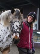 Image 11 in AGILITY AT WHW. ALSO PICTURES FROM THE PADDOCKS. 21 FEB 2016.