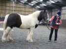 Image 14 in AGILITY AT WHW. ALSO PICTURES FROM THE PADDOCKS. 21 FEB 2016.