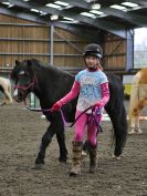Image 17 in AGILITY AT WHW. ALSO PICTURES FROM THE PADDOCKS. 21 FEB 2016.